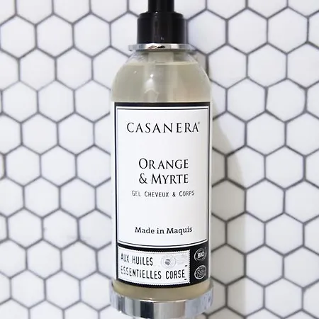 مونثولون فندق 3*